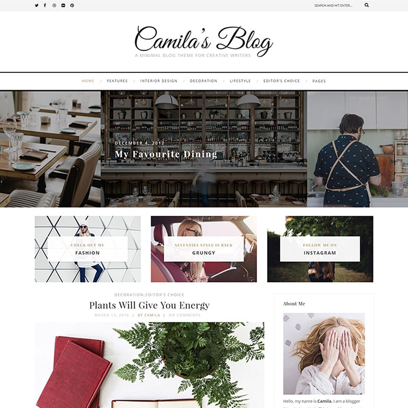 camilla wordpress theme