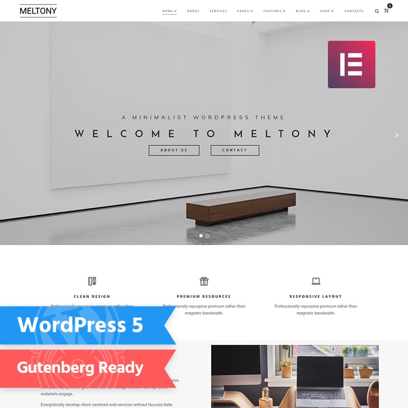 meltony wordpress theme